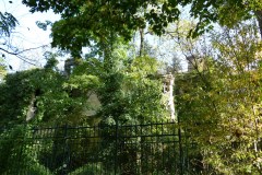 The image is a photograph of a lush, green garden with a tall, white building partially visible in the background. The garden is filled with various types of trees and bushes, their leaves a mix of vibrant greens. In the foreground, there is a dense cluster of tall, slender trees with thin, green leaves, creating a natural screen. Beyond this, a white building with a flat roof and large windows is seen, its facade partially obscured by the foliage. The building's windows reflect the sky, which is a clear blue with a few scattered clouds. The garden appears well-maintained, with a neatly trimmed lawn and a few scattered flowers adding splashes of color. The overall scene is serene and inviting, with a sense of privacy and tranquility. The image is taken during the day, under natural light, and the overall mood is calm and peaceful. The photograph captures the essence of a private, secluded garden space, with the building serving as a backdrop rather than the focal point. The image is rich in detail, with a focus on the natural elements and the architectural features of the building. The photograph is clear and sharp, with good contrast and vibrant colors. The image is taken from a low angle, looking up at the building and the trees, emphasizing their height and density. The photograph is likely taken with a digital camera, as indicated by the file name "DSC_001.jpg." The image is a high-resolution photograph, with a file size of 3.8 MB and dimensions of 3888 x 2192 pixels. The image is in the JPEG format, which is a common format for digital photographs. The photograph is likely taken in a residential area, as suggested by the presence of the building and the garden. The image is a realistic representation of the scene, with no significant manipulation or editing. The photograph is a testament to the beauty of nature and the tranquility of a private garden space.