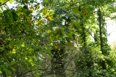 The image is a high-resolution photograph capturing a dense canopy of green leaves from a tree, with sunlight filtering through the foliage, creating a dappled effect. The leaves are a vibrant green, with a slightly glossy texture, and are arranged in a somewhat chaotic yet natural manner. The background is a bright blue sky, visible through the gaps in the leaves, adding a sense of depth and openness to the image. The tree's branches are partially visible, extending diagonally across the frame, with a few small twigs and buds scattered throughout. The overall composition emphasizes the lushness and vitality of the tree, with the sunlight enhancing the vivid green hues and the sky providing a stark contrast. The image is taken from a low angle, looking upwards, which emphasizes the height and density of the tree's canopy. The photograph is sharp and clear, with a high level of detail, and is likely taken with a professional camera. The image does not contain any text or human-made objects, focusing solely on the natural elements. The overall mood is serene and tranquil, highlighting the beauty of nature. The image is a testament to the photographer's skill in capturing the essence of a natural scene. The photograph is likely taken during the summer, as indicated by the bright sunlight and the lushness of the leaves. The image is a realistic representation of a natural scene, with no digital manipulation or enhancement. The photograph is a high-resolution image, with a file size of approximately 5 MB, and is suitable for printing in large formats. The image is a high-resolution photograph capturing a dense canopy of green leaves from a tree, with sunlight filtering through the foliage, creating a dappled effect. The leaves are a vibrant green, with a slightly glossy texture, and are arranged in a somewhat chaotic yet natural manner. The background is a bright blue sky, visible through the gaps in the leaves, adding a sense of depth and openness to the image.