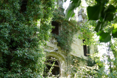 The image is a high-resolution photograph capturing a close-up view of a stone wall partially covered by lush greenery. The wall, constructed from large, irregularly shaped stones, shows signs of age and weathering, with some stones appearing worn and smooth while others are rough and uneven. The wall is partially covered by a dense growth of ivy and other green plants, their leaves and branches intertwining with the stonework, creating a natural tapestry. The ivy leaves are a vibrant green, with some areas showing a slightly darker shade, indicating different types of plants. The wall's texture is rough and uneven, with visible cracks and crevices, adding to the rustic charm. The background is blurred, suggesting a shallow depth of field, and appears to be a garden or park setting, with additional greenery and possibly other structures visible in the distance. The overall mood of the image is serene and natural, emphasizing the harmony between man-made and natural elements. The photograph is taken during daylight hours, with sunlight filtering through the leaves, casting dappled shadows on the wall and enhancing the textures and colors. The image is rich in detail and captures the essence of a historic stone wall integrated into a verdant landscape.