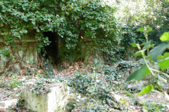 The image is a high-resolution photograph of a dense, overgrown forest scene. The foreground features a thick carpet of green ivy and other low-lying vegetation, with a few scattered leaves and branches. The middle ground is dominated by a large, ancient stone wall, partially covered by ivy and other climbing plants. The wall is constructed from large, irregularly shaped stones, with a rough texture, and shows signs of age and weathering. The wall is partially obscured by the dense foliage, with some sections more exposed than others. The background is filled with tall, mature trees, including oaks and pines, their branches intertwined and creating a dense canopy. The sky is not visible due to the dense foliage. The overall color palette is dominated by various shades of green, with the stone wall providing a contrasting grey tone. The image is taken during daylight hours, with natural light filtering through the canopy, casting dappled shadows on the ground. The setting suggests a secluded, possibly historical or ancient site, with a sense of mystery and abandonment. The photograph captures the serene and somewhat eerie beauty of nature reclaiming a man-made structure. The image is sharp and detailed, with a high level of clarity and depth of field, allowing for a clear view of the textures and details of the wall and vegetation. The image is likely taken with a professional camera, given its high quality and resolution. The overall mood is one of tranquility and natural beauty, with a hint of the past. The image is devoid of human presence, emphasizing the isolation and natural growth of the scene. The photograph is a testament to the power of nature to reclaim and transform human-made structures over time. The image is a blend of natural and man-made elements, with the stone wall serving as a reminder of human presence in an otherwise wild and untouched landscape.