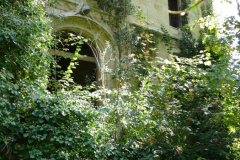 The image is a high-resolution photograph capturing a serene, overgrown garden scene. Dominating the foreground is a dense thicket of green foliage, with various types of plants and shrubs interspersed throughout. The leaves vary in size and shape, with some being broad and glossy, while others are smaller and more delicate. The foliage is lush and vibrant, indicating a well-maintained garden. In the middle ground, a stone path meanders through the greenery, leading the viewer's eye towards a small, rustic building partially obscured by the foliage. The path is made of irregularly shaped stones, adding a natural, rustic charm to the scene. The building, likely a garden shed or a small outbuilding, has a stone foundation and a wooden upper structure, with a pitched roof covered in moss and lichen, suggesting age and exposure to the elements. The roof is partially covered by climbing plants, adding to the sense of seclusion and tranquility. The overall color palette is dominated by various shades of green, with the stone path and building providing contrasting textures and tones. The image is taken from a slightly elevated perspective, giving a bird's-eye view of the garden, and the lighting suggests it is daytime, with natural sunlight filtering through the leaves, casting dappled shadows on the ground. The photograph is rich in detail, capturing the textures and patterns of the garden, and evokes a sense of peaceful solitude. The image is likely taken in a temperate climate, given the types of plants and the overall lushness of the garden. The photograph is clear and sharp, with no visible digital manipulation or filters, emphasizing the natural beauty of the scene. The image is accompanied by a description that reads: "This is a photograph of a garden path leading to a small, rustic building, surrounded by dense foliage.