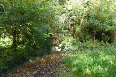 The image is a high-resolution photograph capturing a serene woodland scene. The foreground features a narrow, winding dirt path that meanders through dense foliage, with a mix of green and brown hues indicating a forest floor covered in fallen leaves and grass. The path is flanked by tall, slender trees with thin trunks, their branches intertwining to form a canopy overhead. The trees are primarily deciduous, with some evergreens adding a touch of contrast. The ground is slightly uneven, with small rocks and roots visible through the leaf litter. In the background, a small stream or creek flows gently, its surface reflecting the dappled sunlight filtering through the leaves. The water appears clear and calm, with a few small ripples indicating a gentle current. The overall atmosphere is tranquil and secluded, with the path inviting exploration deeper into the forest. The image is taken during daylight hours, likely in the late morning or early afternoon, as indicated by the bright, natural light illuminating the scene. The photograph is sharp and detailed, capturing the textures and colors of the forest environment with clarity. The image does not contain any human figures or man-made structures, emphasizing the natural beauty of the woodland setting. The photograph is likely taken with a digital camera, given its high resolution and clarity. The image is a realistic representation of a forest path, with no visible manipulation or artistic embellishment. The photograph is a testament to the photographer's skill in capturing the essence of a natural landscape. The image is a high-resolution photograph capturing a serene woodland scene. The foreground features a narrow, winding dirt path that meanders through dense foliage, with a mix of green and brown hues indicating a forest floor covered in fallen leaves and grass. The path is flanked by tall, slender trees with thin trunks, their branches intertwining to form a canopy overhead. The trees are primarily deciduous, with some evergreens adding a touch of contrast.