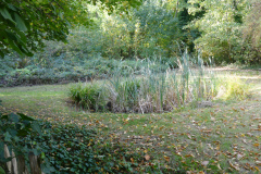 The image is a high-resolution photograph capturing a serene autumn scene in a garden. The foreground features a dense cluster of tall, green bamboo stalks, their leaves rustling gently in the breeze. The bamboo is interspersed with a few other types of grasses, adding texture and depth to the scene. The ground is covered with a thick layer of fallen leaves, their hues ranging from golden brown to deep red, indicating the transition from summer to autumn. The leaves are scattered haphazardly, creating a natural, unkempt look.In the background, the garden continues with a variety of shrubs and small trees, their leaves displaying a mix of green and autumnal colors. The shrubs are interspersed with a few larger trees, their branches reaching out towards the sky, providing a sense of scale and grandeur. The garden appears to be well-maintained, with a clear path leading through the bamboo and into the rest of the garden. The overall atmosphere is one of tranquility and natural beauty, with the changing seasons adding a sense of warmth and coziness to the scene. The image is taken during daylight hours, with natural light filtering through the leaves, casting dappled shadows on the ground. The photograph is sharp and detailed, capturing the intricate textures and colors of the garden. The image does not contain any text or human figures, focusing solely on the natural elements of the garden. The photograph is likely taken with a high-quality digital camera, as indicated by the clarity and detail of the image. The image is a realistic representation of the scene, with no digital manipulation or enhancement. The photograph is a testament to the beauty of nature and the changing seasons. The image is a high-resolution photograph capturing a serene autumn scene in a garden. The foreground features a dense cluster of tall, green bamboo stalks, their leaves rustling gently in the breeze.