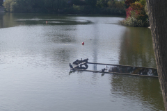 The image is a serene photograph of a small, calm lake surrounded by lush greenery. The lake's surface is smooth, reflecting the clear blue sky and the surrounding trees. In the foreground, there is a wooden dock extending into the water, with a few ducks swimming near it. The dock is made of weathered wooden planks and has a rustic appearance. The ducks are brown and white, with some black markings, and they appear to be swimming leisurely. The background features a mix of deciduous and coniferous trees, with their green foliage creating a natural border around the lake. The sky is clear, with a few wispy clouds, and the overall scene is peaceful and inviting. The image captures the tranquility of nature, with the lake, dock, and ducks as the main subjects. The photograph is taken from a slightly elevated perspective, providing a comprehensive view of the scene. The colors are vibrant, with the green of the trees contrasting beautifully with the blue of the sky and water. The image does not contain any text or human-made structures, emphasizing the natural beauty of the scene. The overall mood is one of calm and serenity, inviting the viewer to appreciate the simplicity and tranquility of nature. The photograph is likely taken during the daytime, as indicated by the bright sunlight and clear sky. The image is clear and sharp, with no visible blur or distortion, indicating a high-quality photograph. The composition is balanced, with the dock and ducks in the foreground, the lake in the middle ground, and the trees and sky in the background. The image is a realistic representation of the scene, with no artistic manipulation or filtering. The photograph is likely taken with a digital camera, as indicated by the high resolution and clarity of the image. The image is a testament to the beauty of nature and the tranquility that can be found in natural settings.