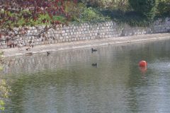 The image is a serene landscape featuring a calm body of water, likely a pond or small lake, with a stone wall running along its left side. The wall is constructed from large, rectangular stones, giving it a rustic and ancient appearance. The water is a deep blue-green, reflecting the sky and surrounding vegetation. On the right side of the image, there is a mix of green and red foliage, indicating a transition between seasons, possibly autumn. The red leaves are vibrant and contrast sharply with the green, adding a touch of warmth to the scene. In the foreground, there is a small, orange buoy floating on the water, adding a pop of color and a sense of tranquility. The overall mood of the image is peaceful and natural, with a focus on the interplay of water, stone, and foliage. The image is taken from a low angle, emphasizing the calmness and stillness of the scene. The texture of the stone wall is rough and weathered, while the water appears smooth and undisturbed. The buoy is slightly off-center, adding a dynamic element to the otherwise static composition. The image is clear and well-lit, with natural light enhancing the colors and textures. The overall effect is one of tranquility and natural beauty. The image is a high-resolution photograph, capturing the details of the landscape with precision. The image is likely taken during the daytime, as indicated by the bright, natural light. The image is a realistic representation of the scene, with no visible manipulation or digital enhancement. The image is a testament to the photographer's skill in capturing the essence of a natural landscape. The image is a high-resolution photograph, capturing the details of the landscape with precision. The image is likely taken during the daytime, as indicated by the bright, natural light. The image is a realistic representation of the scene, with no visible manipulation or digital enhancement.