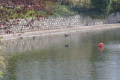 The image is a serene landscape featuring a calm body of water, likely a pond or small lake, with a stone wall running along its left side. The wall is constructed from large, rectangular stones, giving it a rustic and ancient appearance. The water is a deep blue-green, reflecting the sky and surrounding vegetation. On the right side of the image, there is a mix of green and red foliage, indicating a transition between seasons, possibly autumn. The red leaves are vibrant and contrast sharply with the green, adding a touch of warmth to the scene. In the foreground, there is a small, orange buoy floating on the water, adding a pop of color and a sense of tranquility. The overall mood of the image is peaceful and natural, with a focus on the interplay of water, stone, and foliage. The image is taken from a low angle, emphasizing the calmness and stillness of the scene. The texture of the stone wall is rough and weathered, while the water appears smooth and undisturbed. The buoy is slightly off-center, adding a dynamic element to the otherwise static composition. The image is clear and well-lit, with natural light enhancing the colors and textures. The overall effect is one of tranquility and natural beauty. The image is a high-resolution photograph, capturing the details of the landscape with precision. The image is likely taken during the daytime, as indicated by the bright, natural light. The image is a realistic representation of the scene, with no visible manipulation or digital enhancement. The image is a testament to the photographer's skill in capturing the essence of a natural landscape. The image is a high-resolution photograph, capturing the details of the landscape with precision. The image is likely taken during the daytime, as indicated by the bright, natural light. The image is a realistic representation of the scene, with no visible manipulation or digital enhancement.