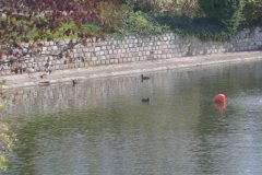 The image is a serene landscape featuring a calm body of water, likely a pond or small lake, with a stone wall running along its left side. The wall is constructed from large, rectangular stones, giving it a rustic and ancient appearance. The water is a deep blue-green, reflecting the sky and surrounding vegetation. On the right side of the image, there is a mix of green and red foliage, indicating a transition between seasons, possibly autumn. The red leaves are vibrant and contrast sharply with the green, adding a touch of warmth to the scene. In the foreground, there is a small, orange buoy floating on the water, adding a pop of color and a sense of tranquility. The overall mood of the image is peaceful and natural, with a focus on the interplay of water, stone, and foliage. The image is taken from a low angle, emphasizing the calmness and stillness of the scene. The texture of the stone wall is rough and weathered, while the water appears smooth and undisturbed. The buoy is slightly off-center, adding a dynamic element to the otherwise static composition. The image is clear and well-lit, with natural light enhancing the colors and textures. The overall effect is one of tranquility and natural beauty. The image is a high-resolution photograph, capturing the details of the landscape with precision. The image is likely taken during the daytime, as indicated by the bright, natural light. The image is a realistic representation of the scene, with no visible manipulation or digital enhancement. The image is a testament to the photographer's skill in capturing the essence of a natural landscape. The image is a high-resolution photograph, capturing the details of the landscape with precision. The image is likely taken during the daytime, as indicated by the bright, natural light. The image is a realistic representation of the scene, with no visible manipulation or digital enhancement.