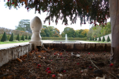 The image is a high-resolution photograph capturing a serene garden scene. In the foreground, there is a stone wall with a rough texture, constructed from large, irregularly shaped stones. The wall is slightly weathered, indicating age and exposure to the elements. To the right of the wall, a portion of a white statue is visible, depicting a human figure with a smooth, polished surface. The statue is partially obscured by the wall, adding a sense of mystery to the scene.Beyond the wall, the garden unfolds with a variety of elements. A large, circular pond occupies the center of the image, its surface calm and undisturbed. The pond is surrounded by a neatly trimmed lawn, which is a vibrant green, suggesting well-maintained grass. Scattered throughout the lawn are red maple leaves, adding a touch of autumnal color to the scene. In the background, a line of tall, coniferous trees stands guard, their dark green needles contrasting with the lighter green of the lawn. The sky above is overcast, with a uniform gray tone, suggesting a cloudy day. The overall mood of the image is tranquil and contemplative, with a focus on natural elements and the interplay of light and shadow. The photograph is taken from a low angle, emphasizing the height of the trees and the expanse of the garden. The image is rich in detail, with a clear, sharp focus on all elements, from the texture of the stone wall to the smooth surface of the statue and the delicate leaves on the ground. The photograph is devoid of human presence, enhancing the sense of solitude and tranquility. The image is a testament to the beauty of natural landscapes and the serene atmosphere they can evoke. The photograph is likely taken with a high-quality digital camera, given its clarity and detail.